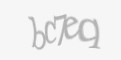 Захисний код